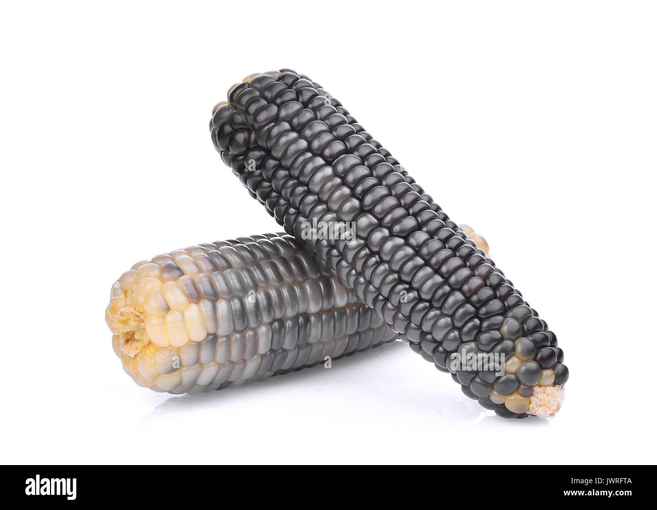 waxy corn, tropical plants isolated on white background Stock Photo