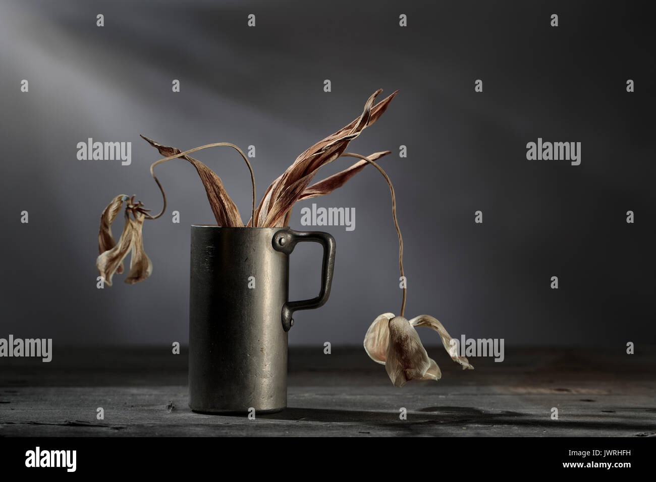 Still Life with withered and dried dead Flowers Stock Photo Alamy