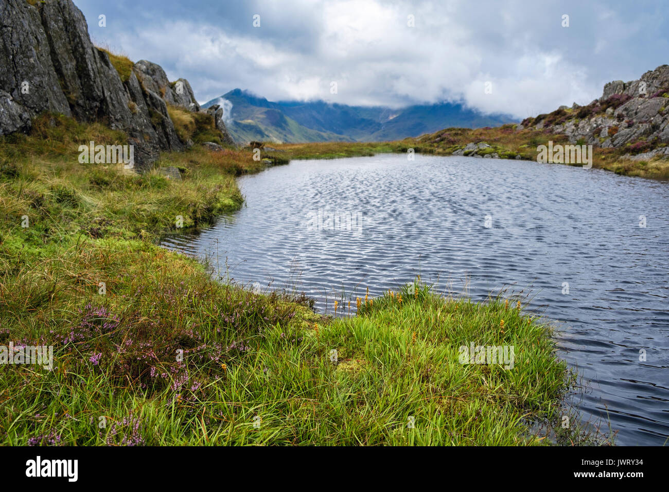 Looking across upland pool on Carnedd y Cribau to Snowdon horseshoe in low cloud beyond in mountains of Snowdonia National Park. Wales, UK Stock Photo