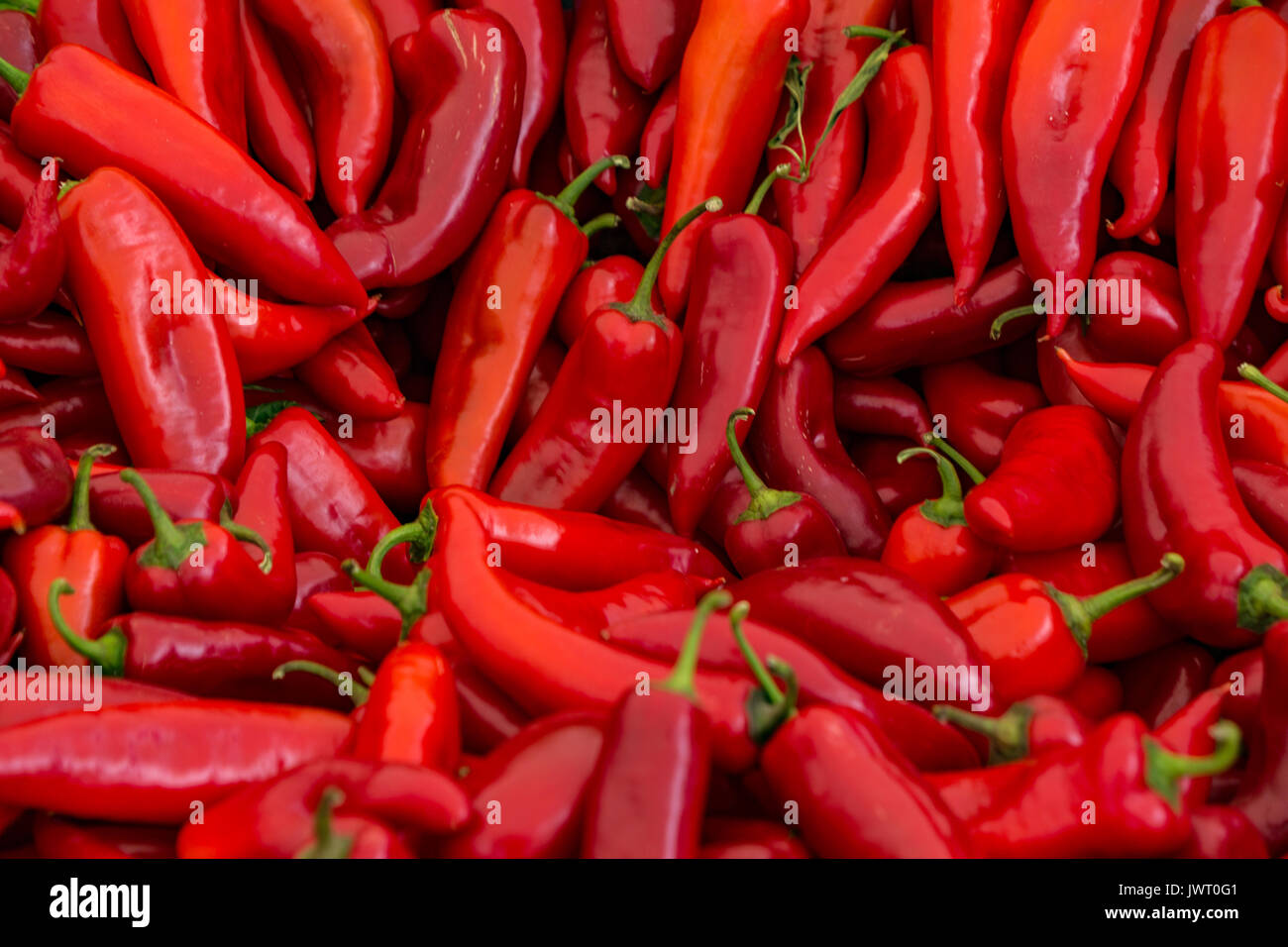 A table is filled with red chilli peppers for sale at a market in
