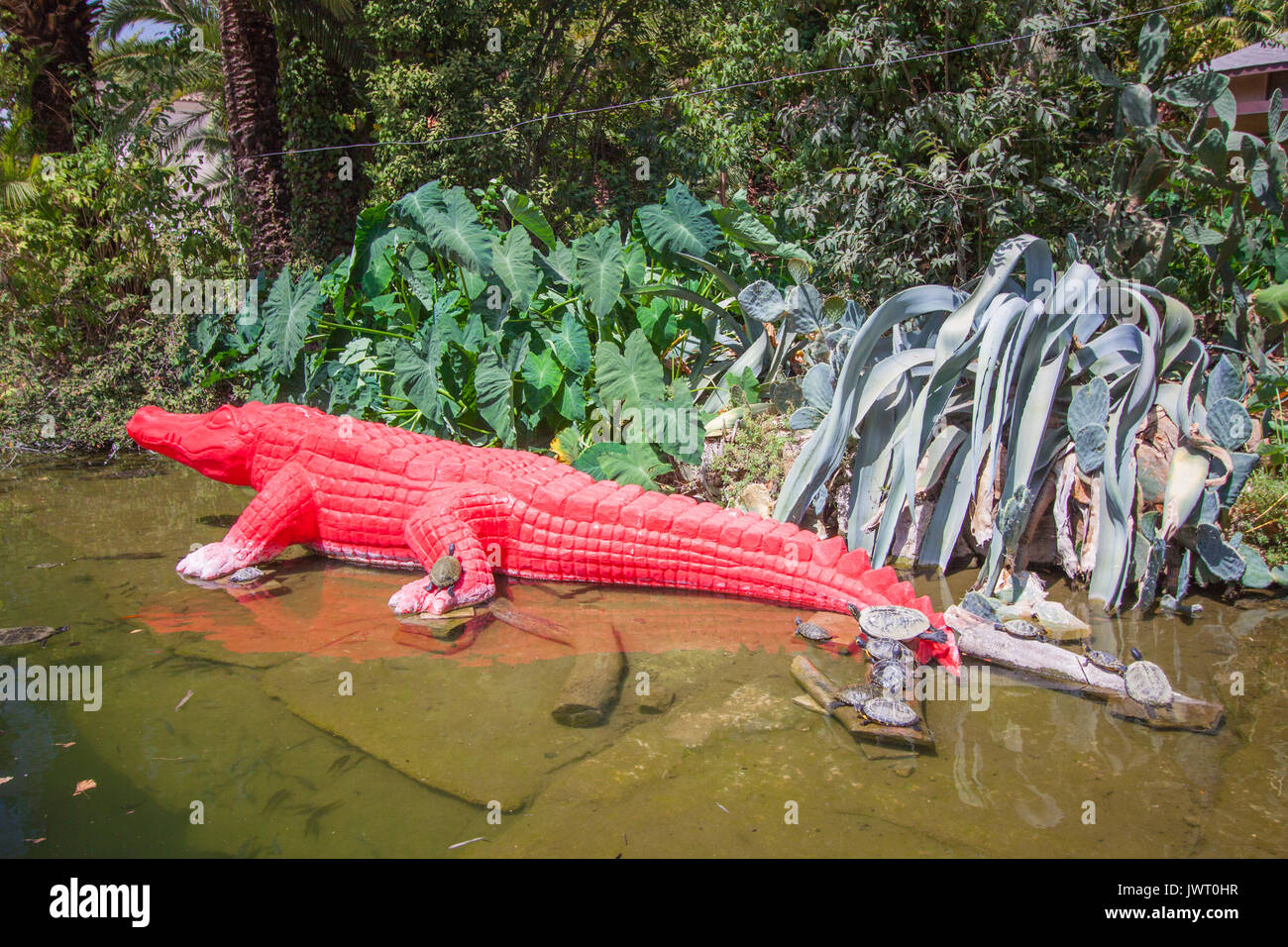 Crocodile red statue in cement, with real turtles at the zoo in rome ...