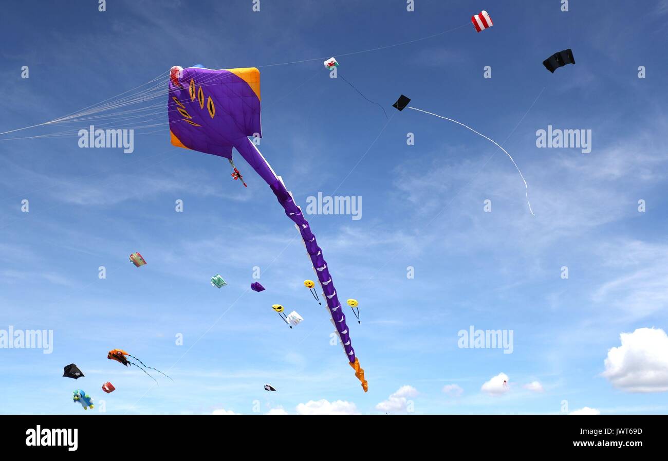 Kites are flown over Southsea Common during the 2017 Portsmouth Kite