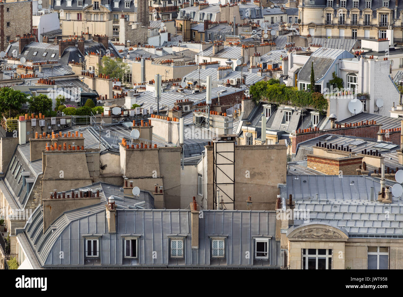 Paris rooftops in summer with roof gardens and mansard roofs. 17th