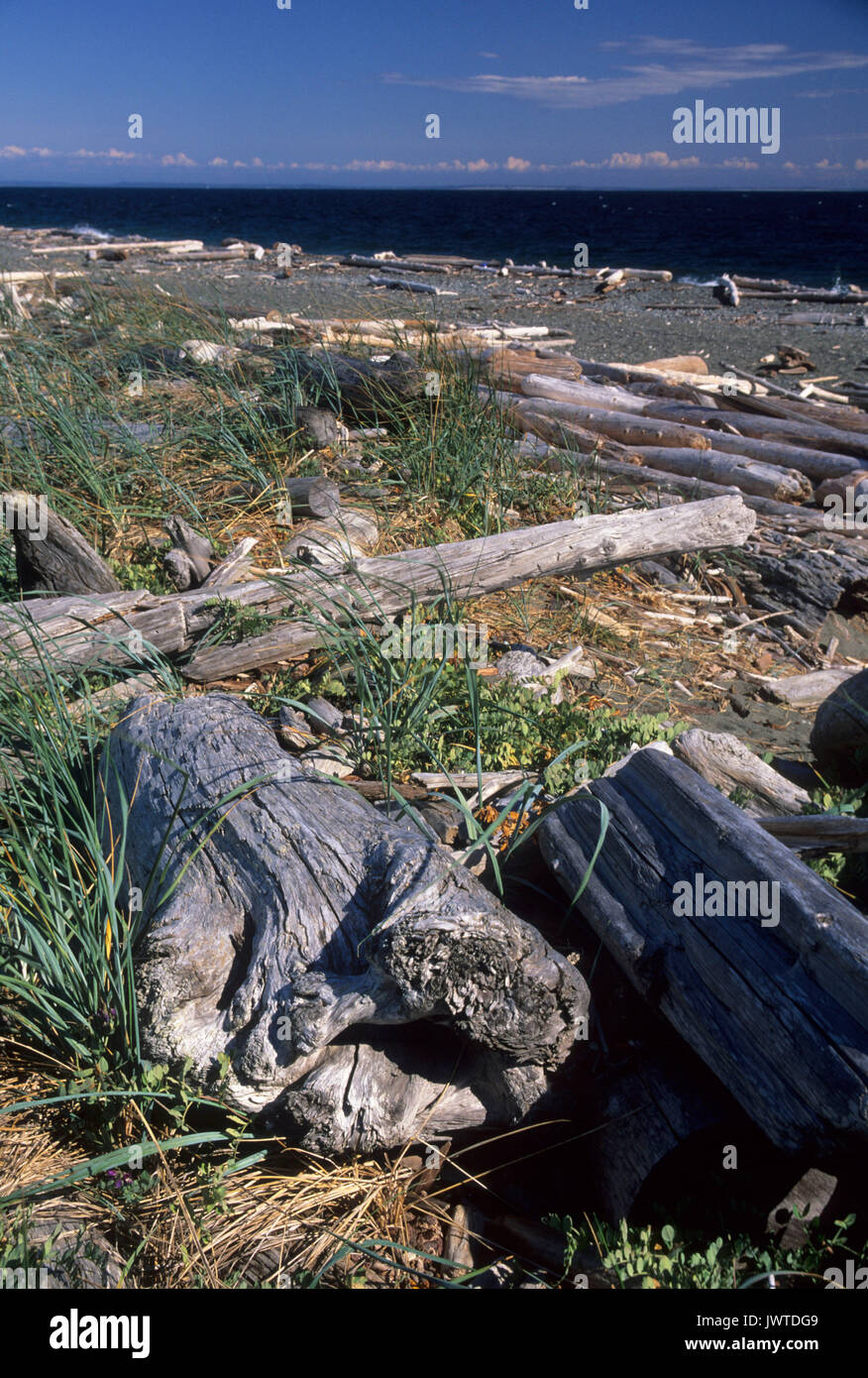 San juan island national historic park hi-res stock photography and ...