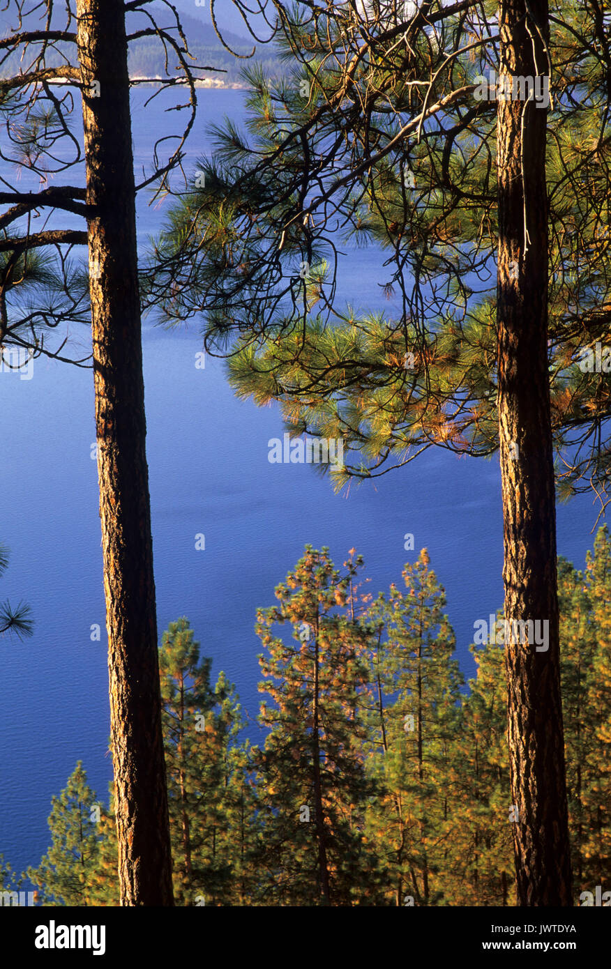 Franklin D Roosevelt Lake, Lake Roosevelt National Recreation Area, Washington Stock Photo