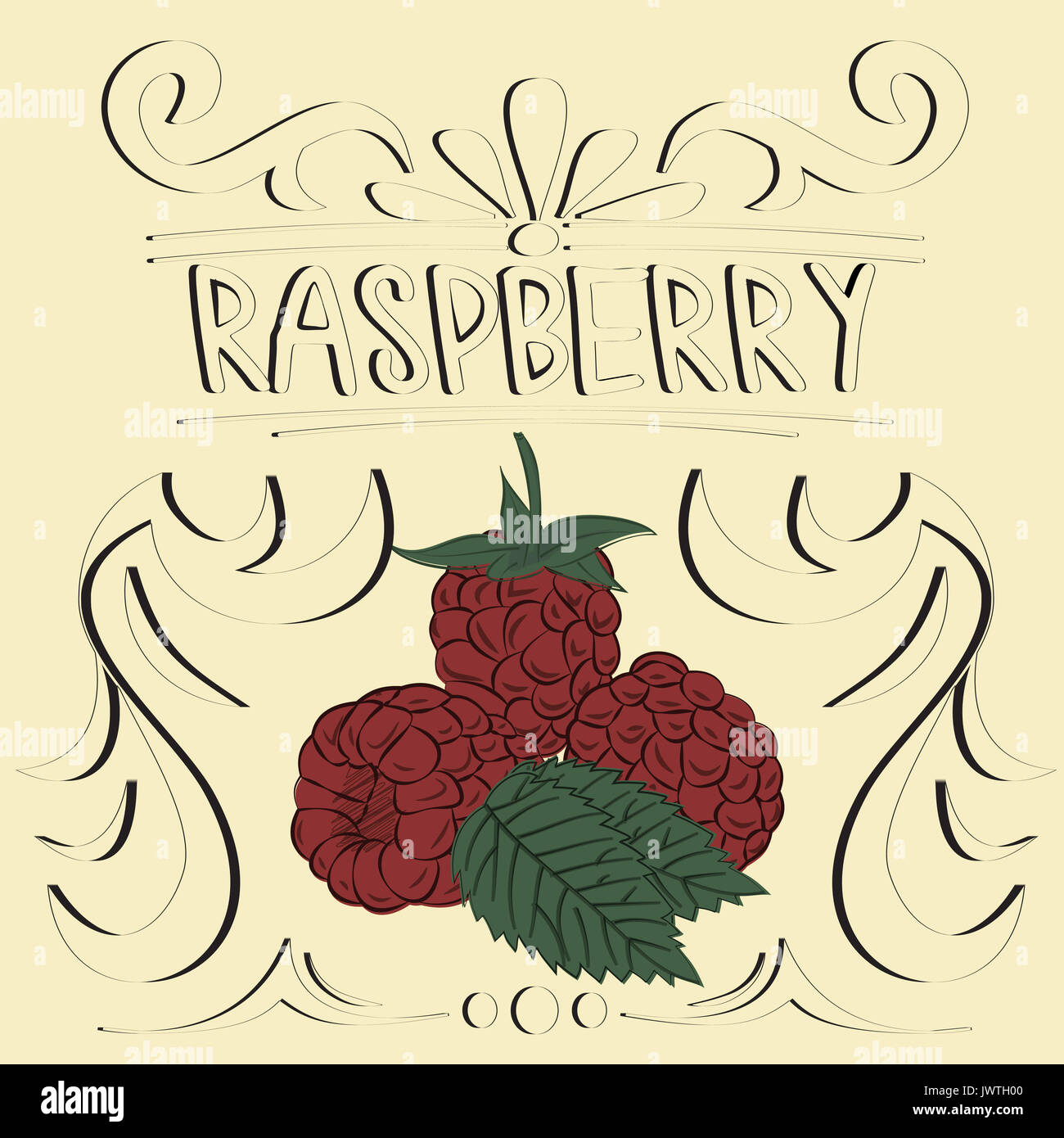 Raspberry vintage retro poster design, illustration, concept logo Stock Photo