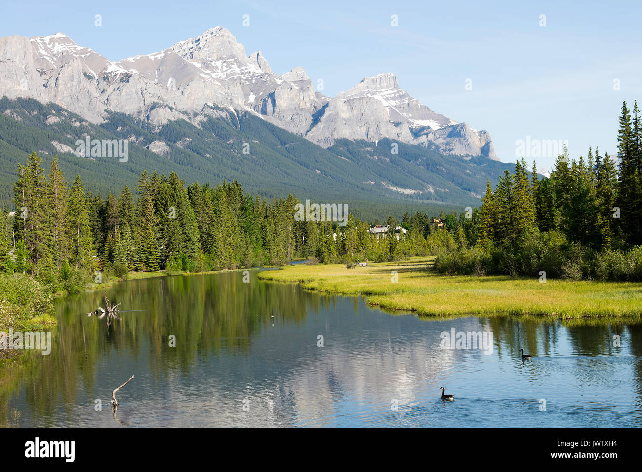 The Bow River Flowing Through Canmore in Banff National Park with Pine ...
