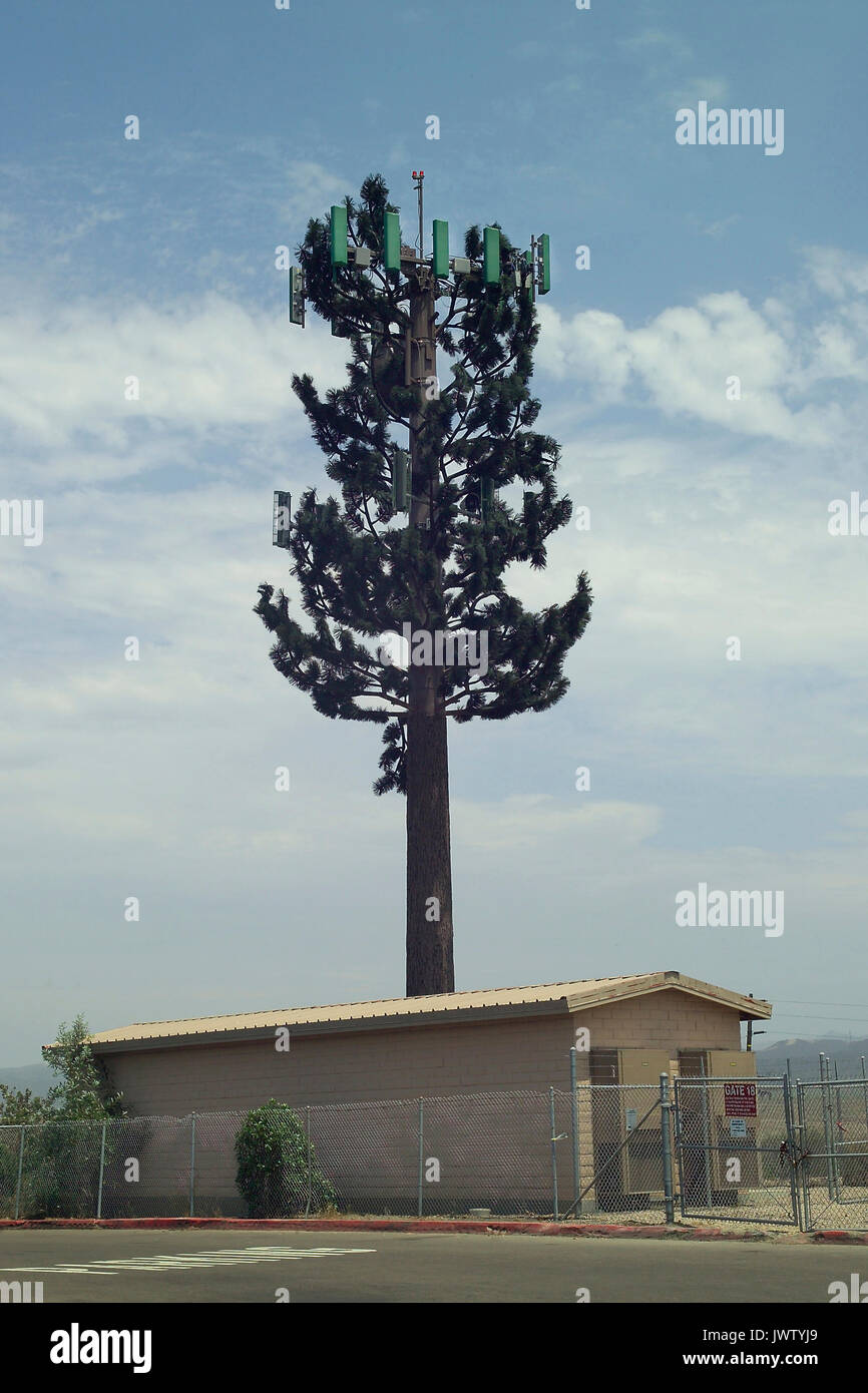 A cell (mobile) phone tower is disguised as a tall pine tree in Southern California, USA. Despite this camouflage, the individual rectangular antennas that send and receive cellular signals can be detected on closer inspection of the tower, especially the green-colored vertical devices at the top of the tree. Stock Photo