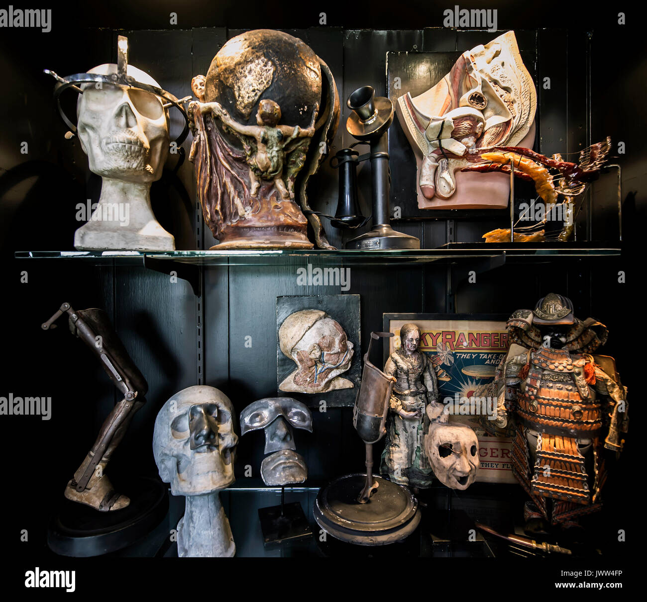 Aug.13, 2017 - Peekskill, New York, U.S. -  Early Electrics lighting showroom and museum features owner Steve Erenberg's large collection of early scientific equipment, medical objects and instruments, quackery, anatomical models and other offbeat esoterica. www.earlyelectrics.com(Credit Image: © Brian Cahn via ZUMA Wire) Stock Photo