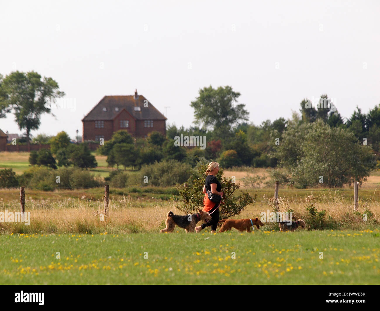 Sheerness, Kent. 14 Aug, 2017. UK Weather: a sunny and warm morning in Sheerness. Credit: James Bell/Alamy Live News Stock Photo