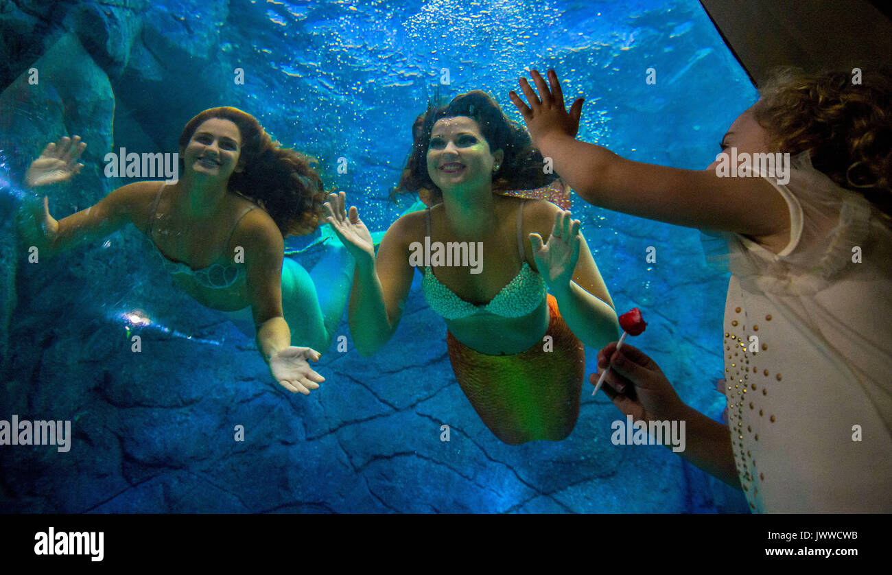 Sao Paulo, Brazil. 14th August, 2017. Visitors watch several mermaids ...