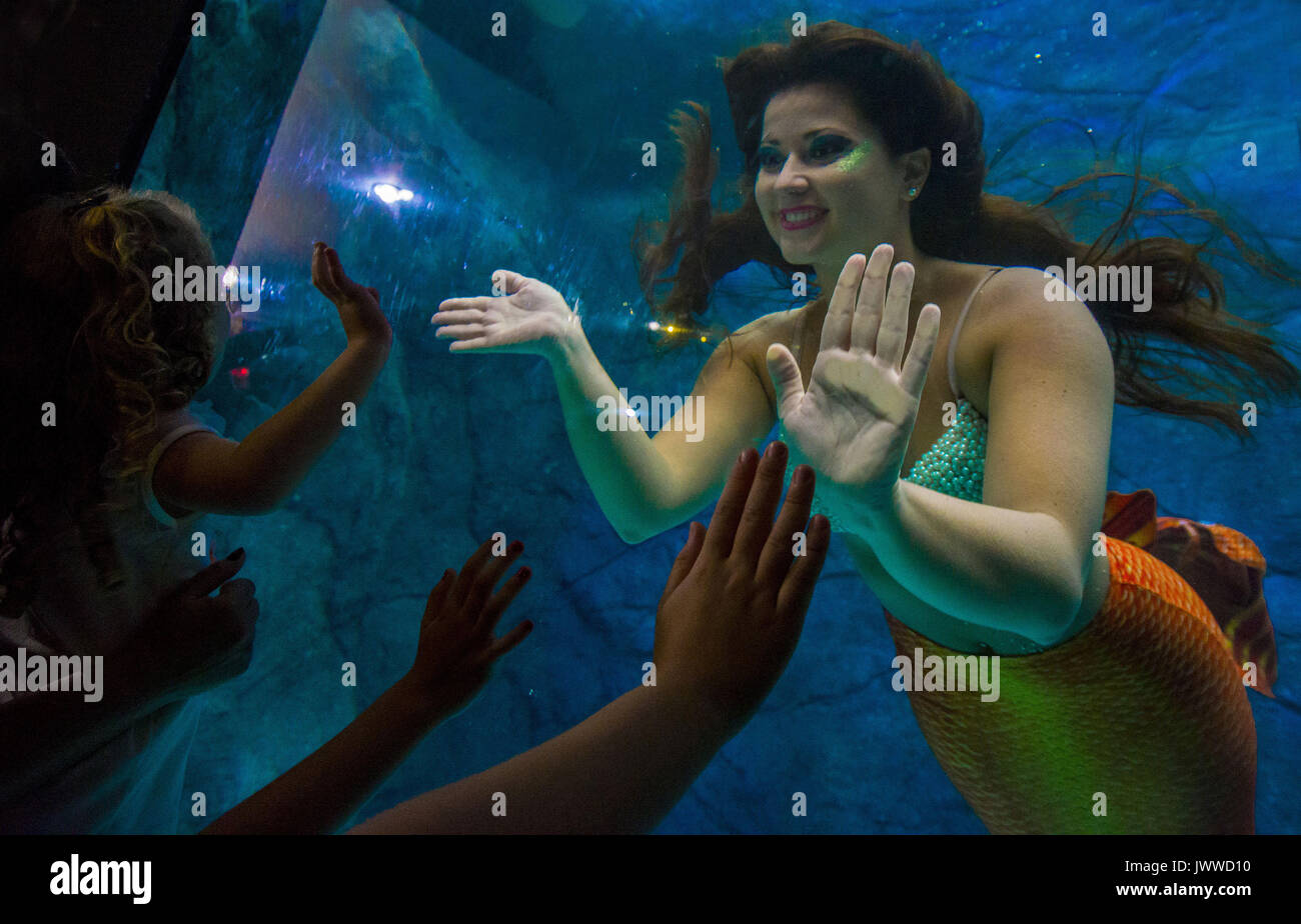 Sao Paulo, Brazil. 14th August, 2017. Visitors watch several mermaids ...