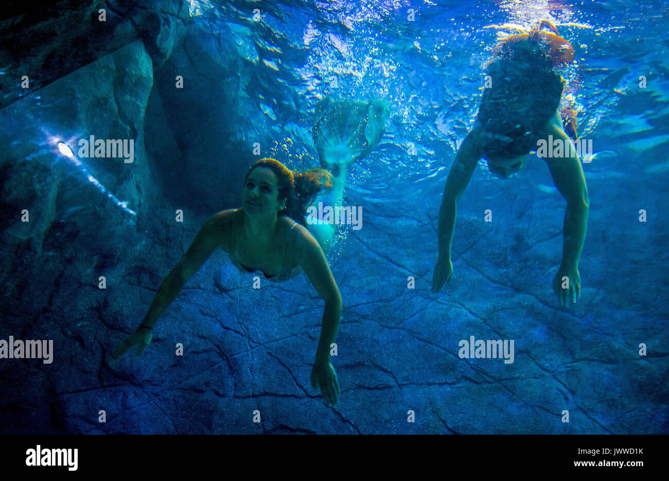 Sao Paulo, Brazil. 14th August, 2017. Visitors watch several mermaids ...