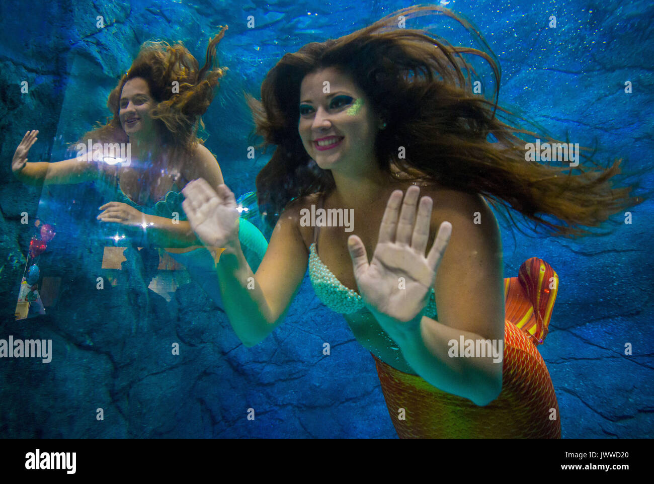 Sao Paulo, Brazil. 14th August, 2017. Visitors watch several mermaids ...