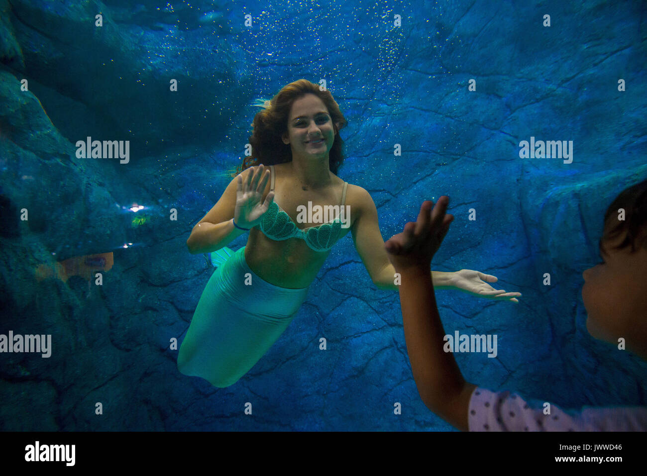 Sao Paulo, Brazil. 14th August, 2017. Visitors watch several mermaids ...