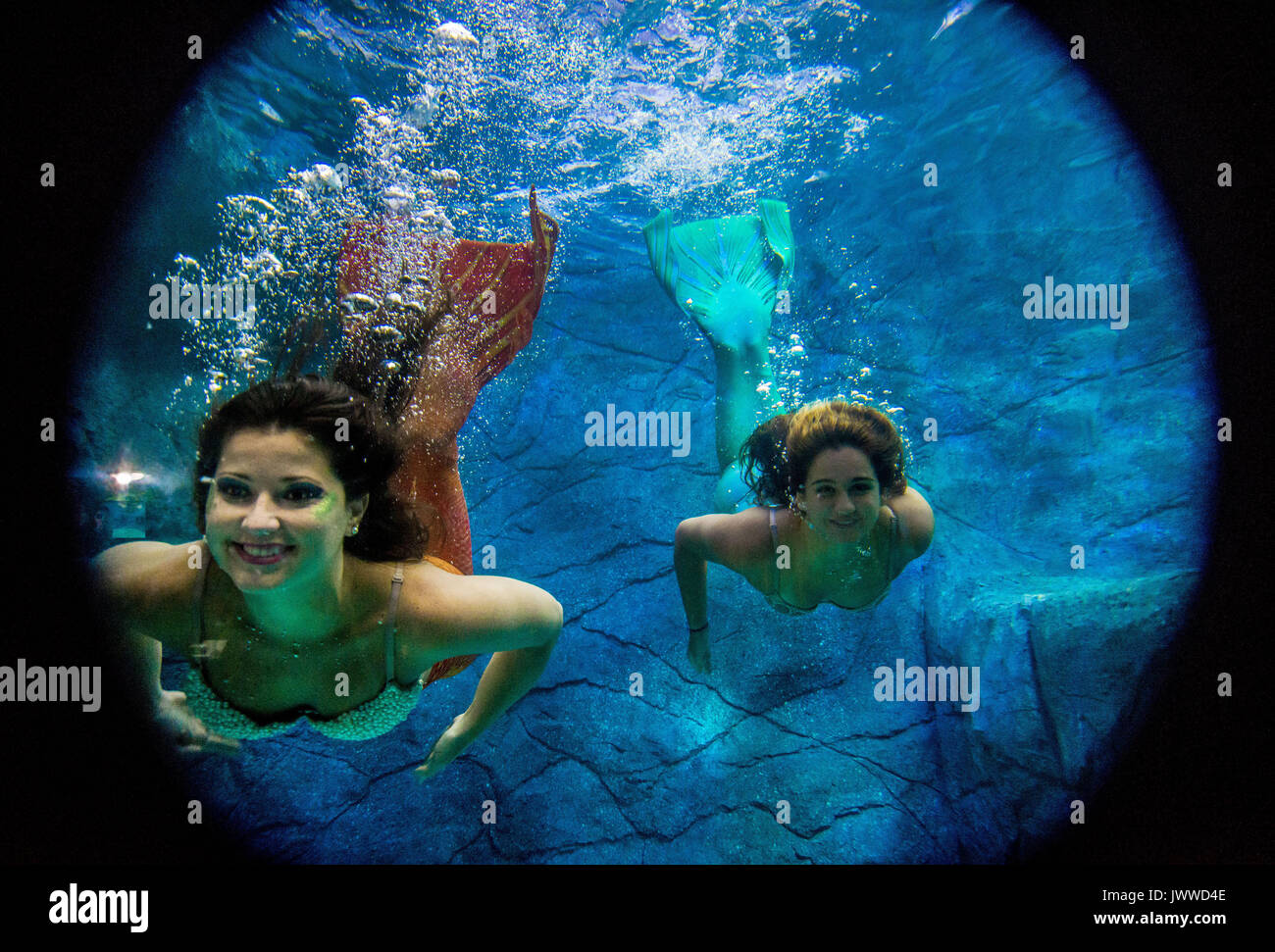 Sao Paulo, Brazil. 14th August, 2017. Visitors watch several mermaids ...