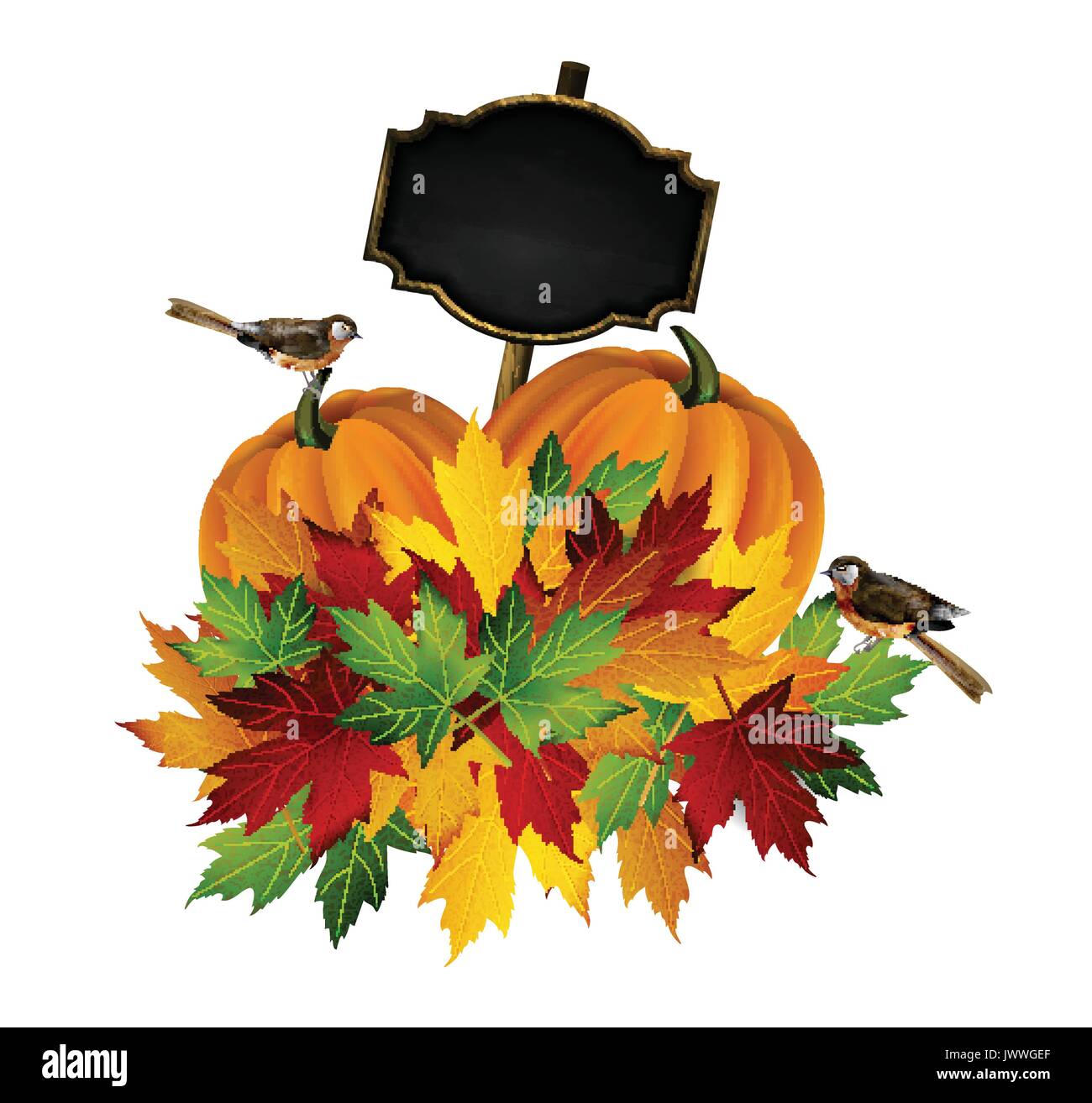 Thanksgiving vector autumn composition with pumpkins and fall leaves and birds with black board for your text on a white background Stock Vector