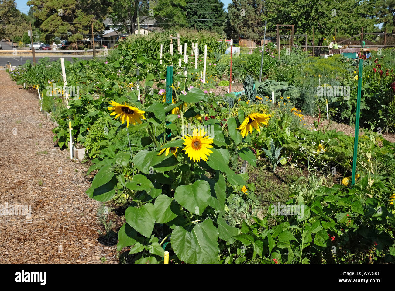 Hollinshead park bend oregon hires stock photography and images Alamy