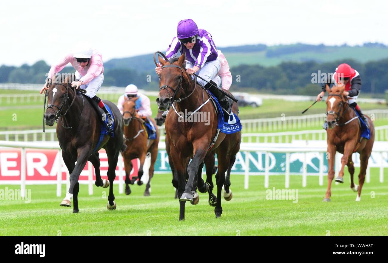 Mendelssohn ridden by Ryan Moore wins the Anglesey Lodge Equine Hospital Irish European Breeders Fund Maiden during Keeneland Phoenix Stakes day at the Curragh. Stock Photo