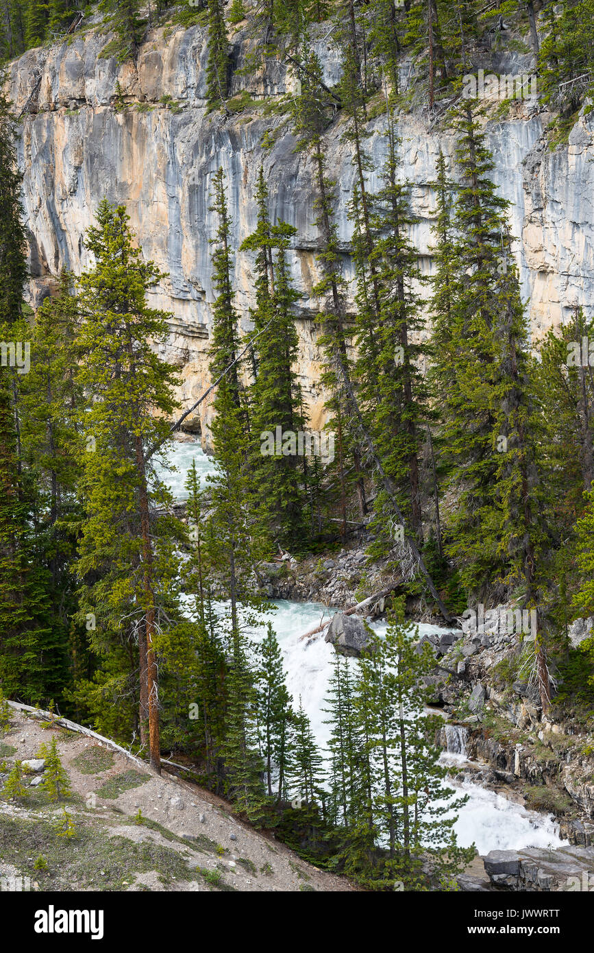 The Beautiful Nigel Falls on Nigel Creek The Icefields Parkway Banff National Park Alberta Canada Stock Photo