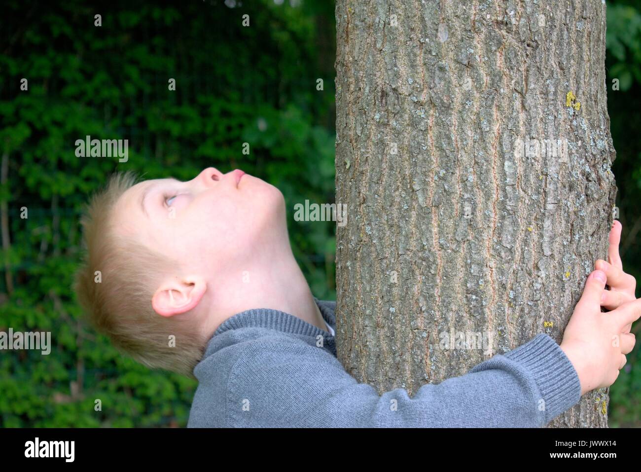Boy with down syndrome looking up to the sky and hugged to a tree. Stock Photo