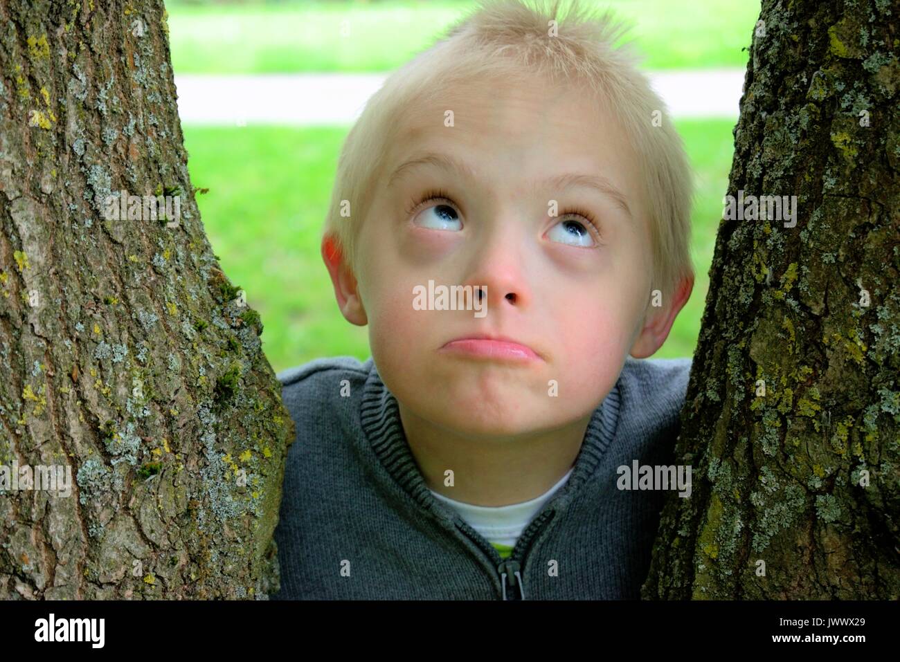 Boy with down syndrome looking up to the sky and hugged to a tree Stock  Photo - Alamy, image size:1300x957