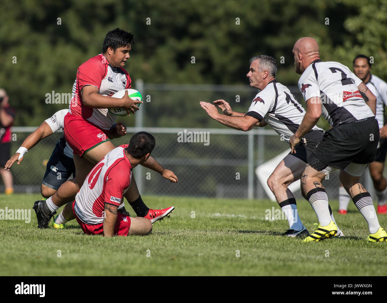 Ruby action with Chico Mighty Oaks vs. Shasta Highlanders at a Sevens Tournament in Mount Shasta, California. Stock Photo