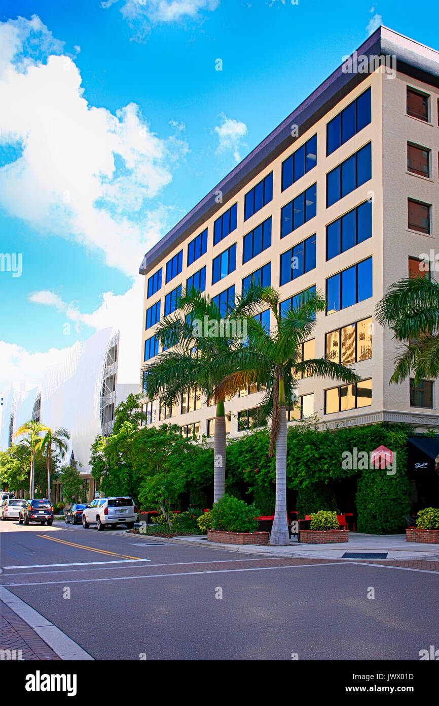 Palm avenue hires stock photography and images Alamy