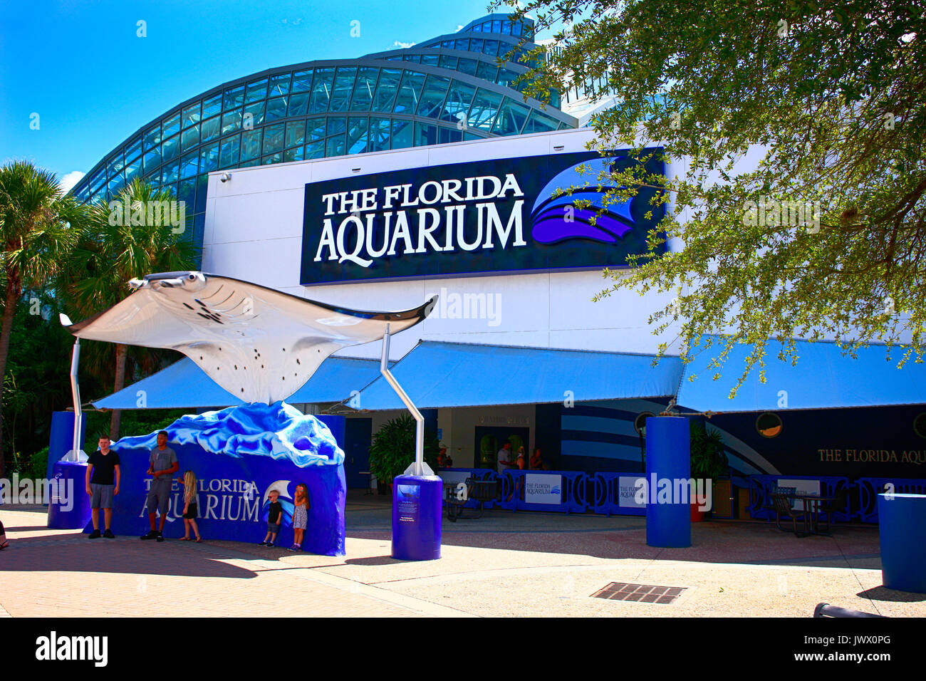 While in Tampa, be sure to make these three fantastic attractions a must on your list, and explore the worlds of underwater life, worldwide natural environments, and the ever-transforming world of science and technology with the Florida Aquarium, Tampa Zoo, and Museum of Science and Industry.4/4.