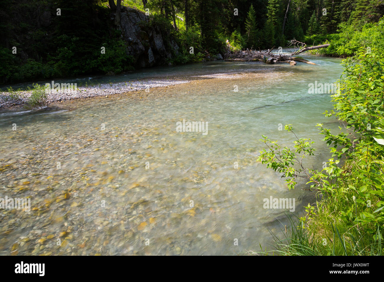 A slow section of Granite Creek winding through a dense forest in
