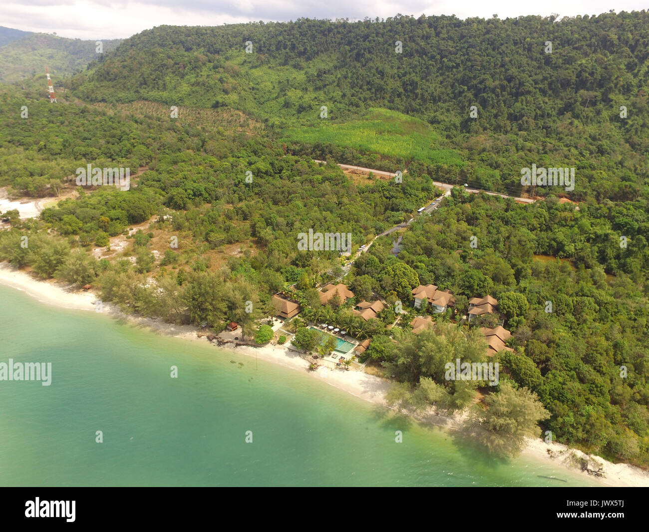 Birds eye view tree hi-res stock photography and images - Alamy