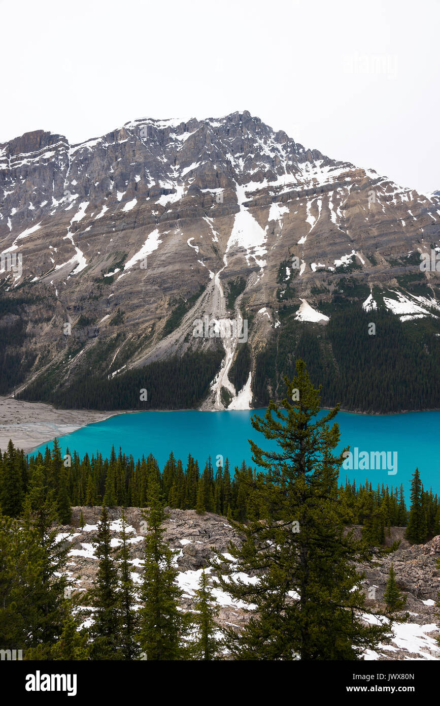 The Stunning Blue Waters of Peyto Lake in Banff National Park Canadian ...