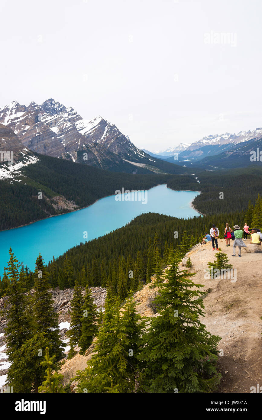 The Stunning Blue Waters of Peyto Lake in Banff National Park Canadian ...