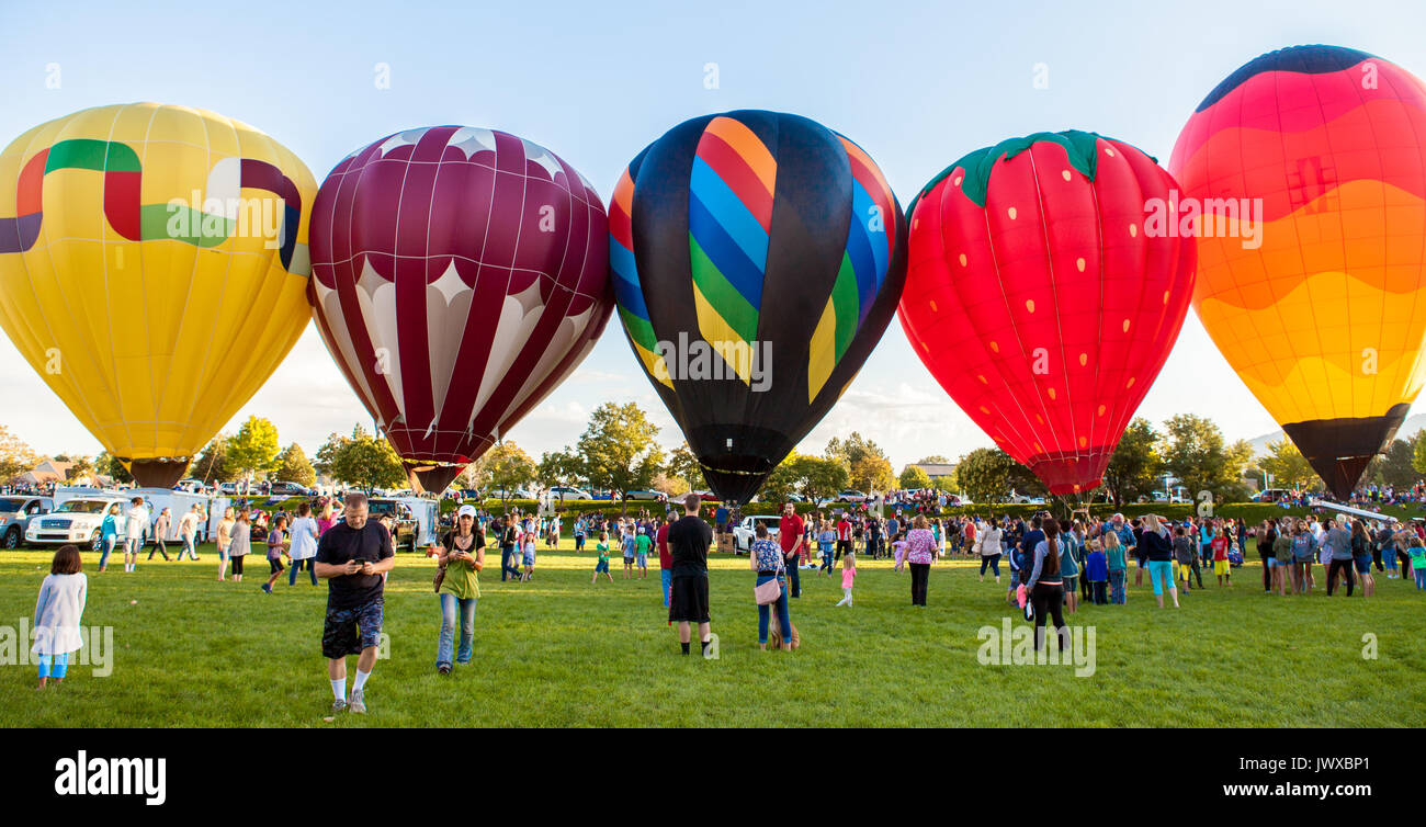 Hot air balloons lined up and ready to launch at the Sandy balloon