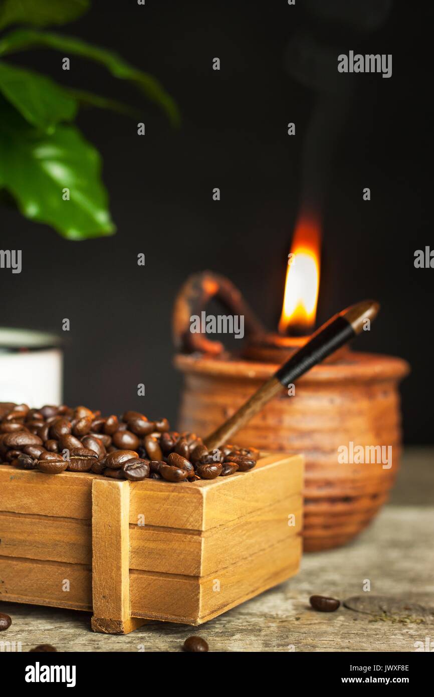 Coffee beans and coffee seedlings. Coffee trading. Crop production. Advertising the café Stock Photo