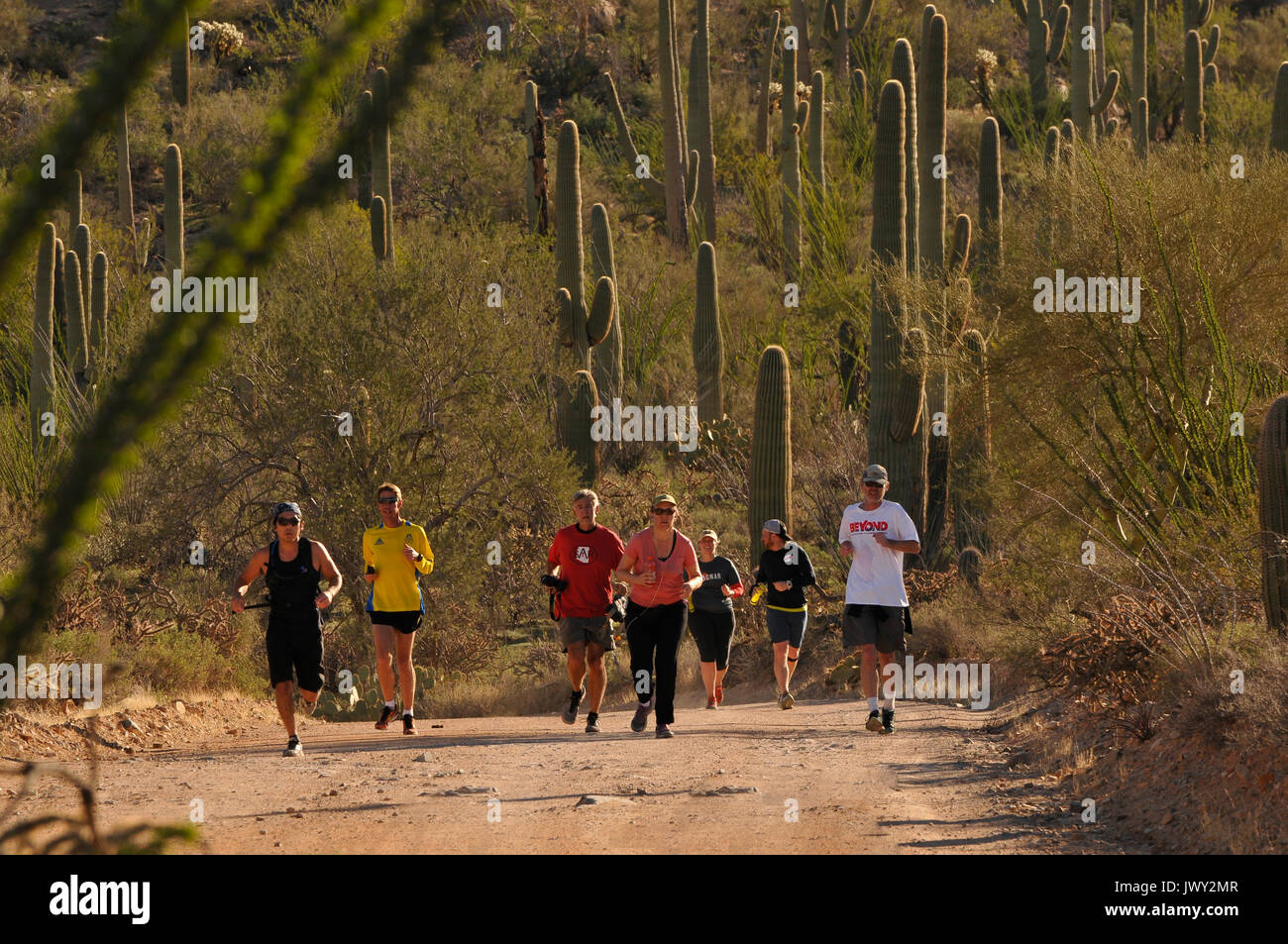 Runners and cyclists race on Bajada Loop Drive in Saguaro National Park