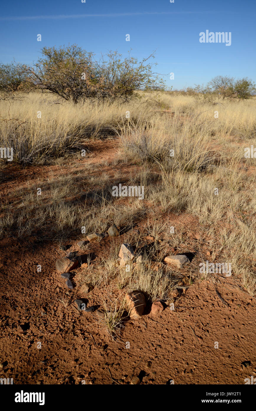 Rocks along a trail used by undocumented migrants from Mexico indicate North, 20 miles north of Sasabe, Arizona, USA. Stock Photo