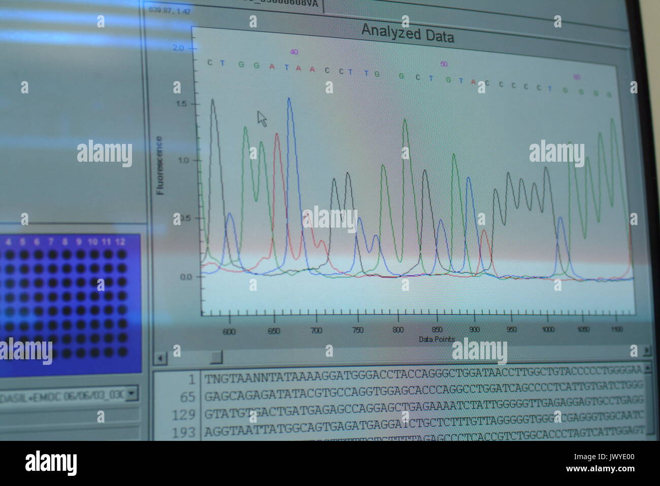 laboratory assistant analyzes of DNA sequence on the computer Stock ...