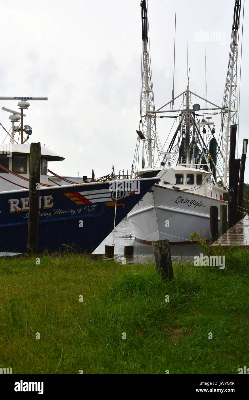 Commercial fishing boat in Wanchese Harbor Outer Banks North Carolina Stock  Photo - Alamy