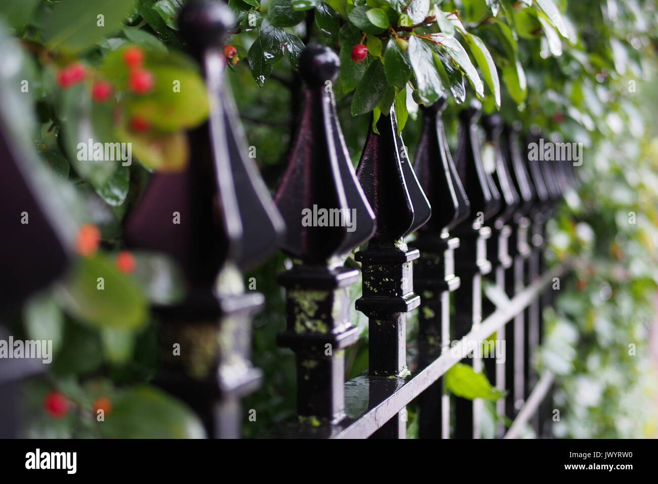 Spiked railing hi-res stock photography and images - Alamy
