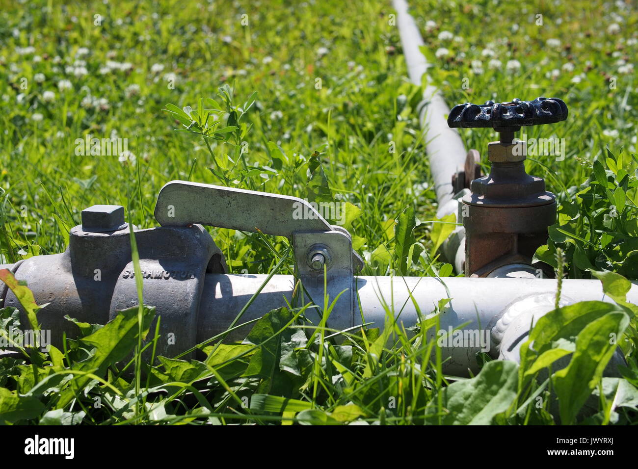 Latch style lateral irrigation pipe hires stock photography and images