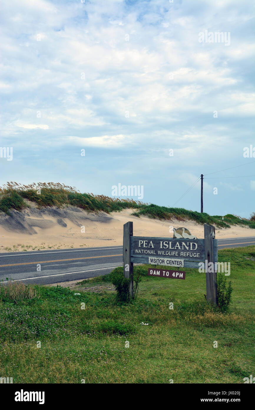The Pea Island Wildlife Refuge was established in 1938 and provides a protected habitat for native animals on the Outer Banks of North Carolina. Stock Photo