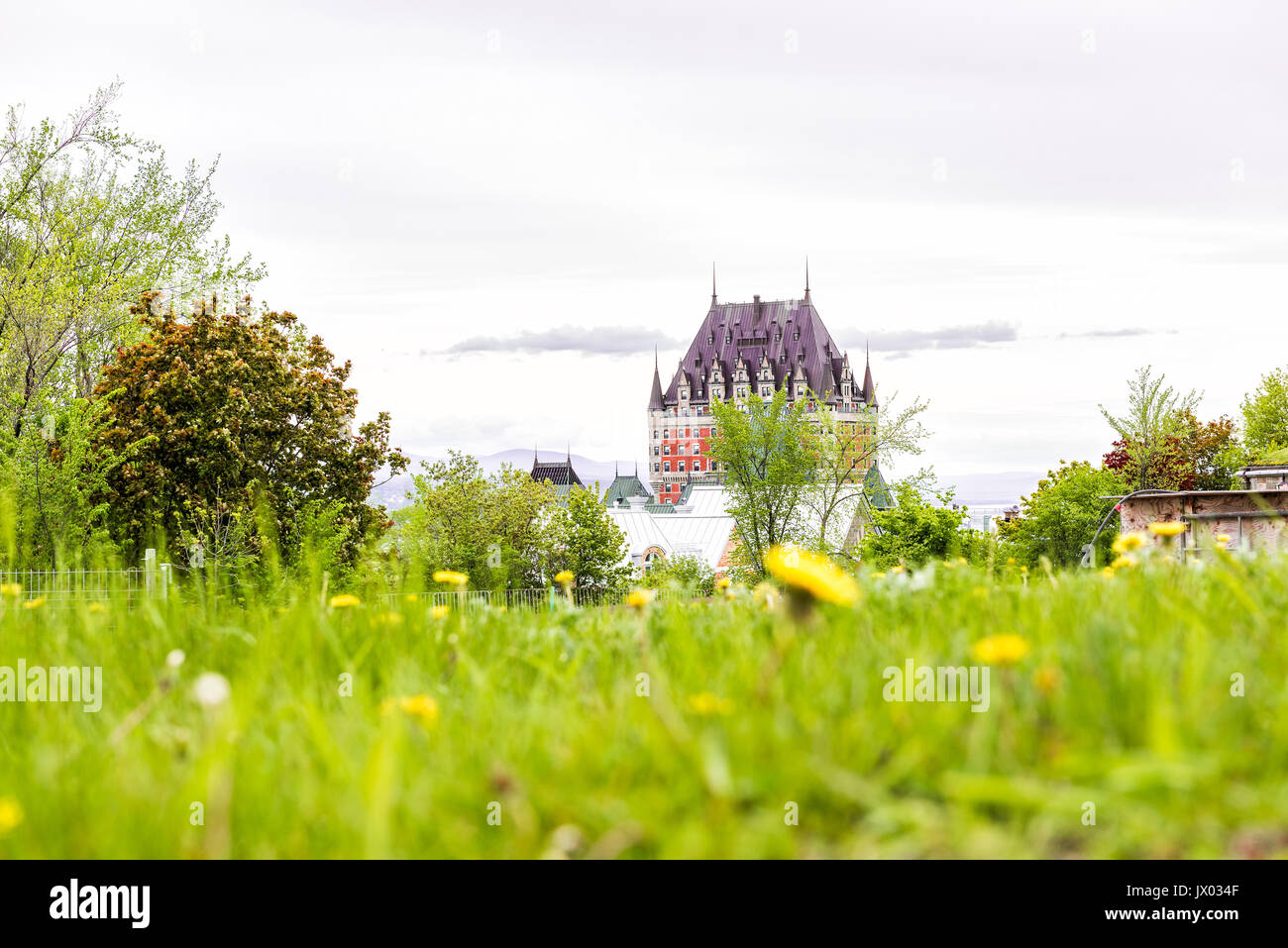 Wildflowers in quebec hires stock photography and images Alamy