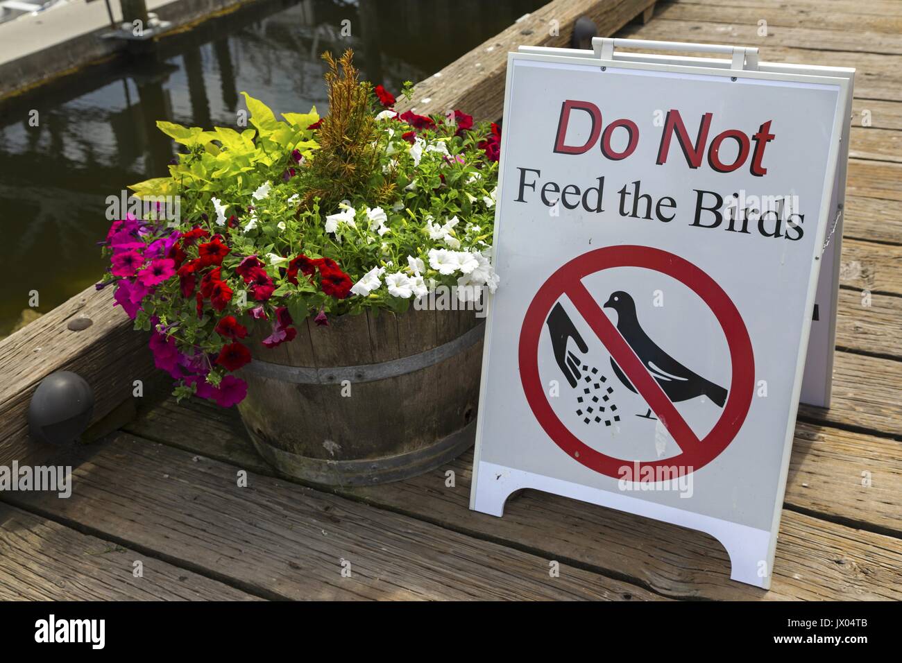 Information Sign on Wooden Dock Pier prohibiting feeding of seagulls and other birds in front of Granville Island Market, British Columbia, Canada Stock Photo