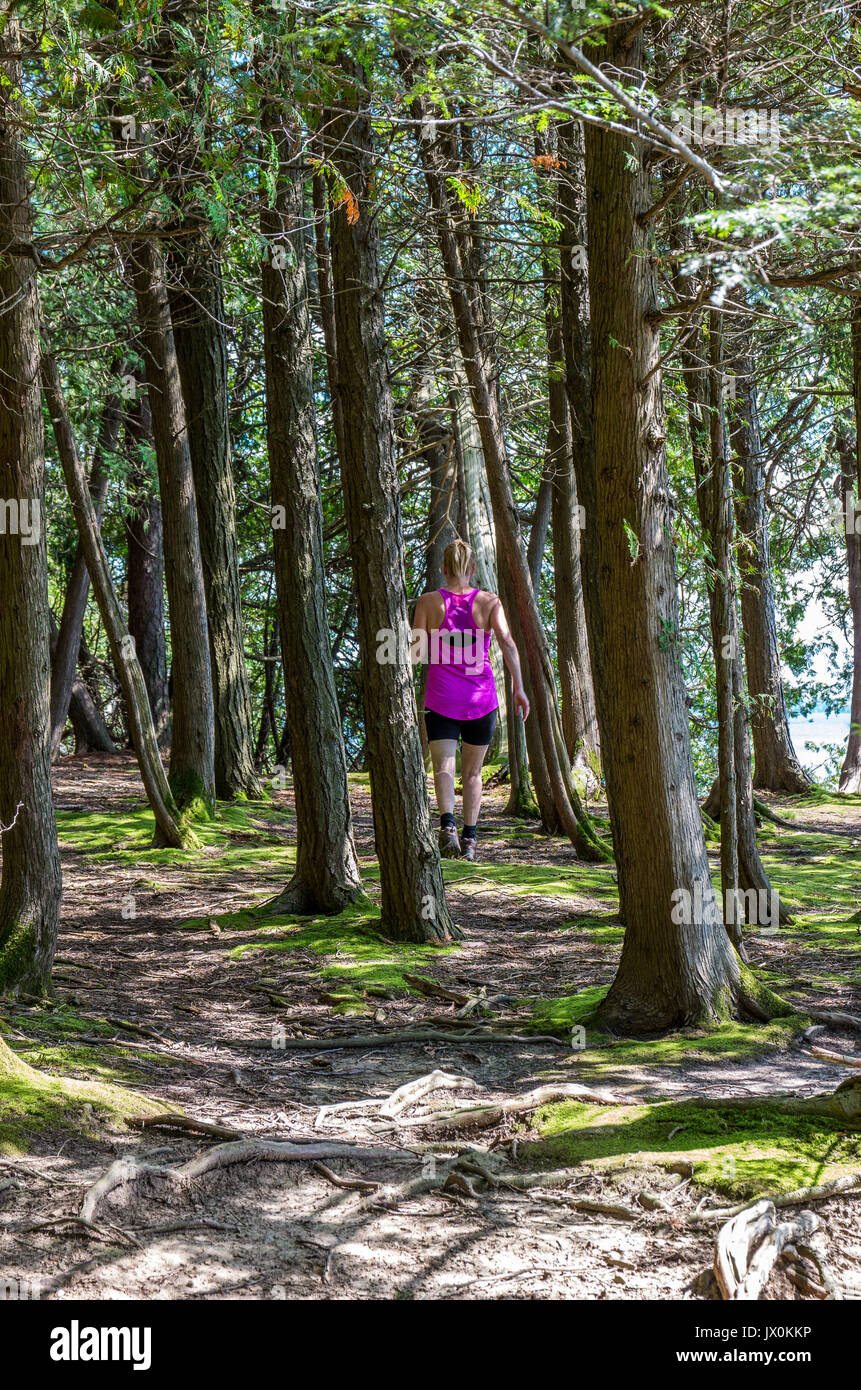 Blond middle aged Woman walking on a trail through tall trees with black shorts and a pink top Stock Photo