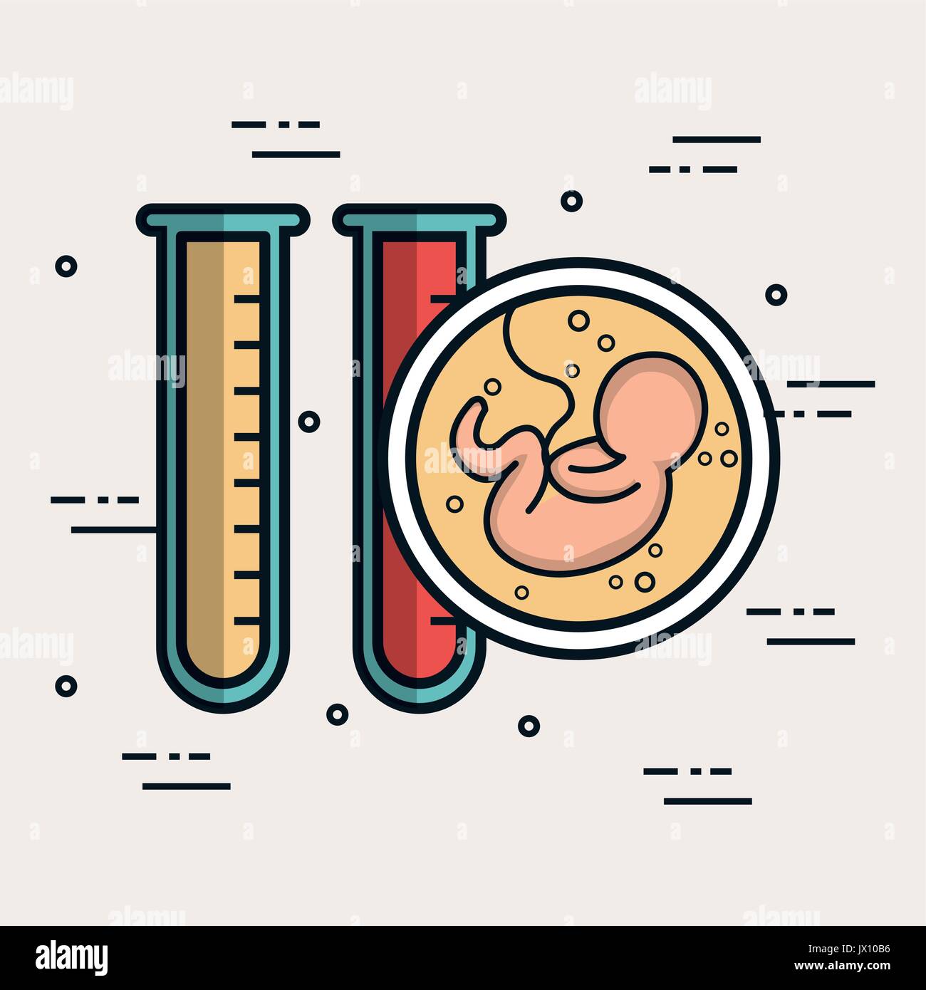 baby test tubes biology anatomy vector illustration Stock Vector Image