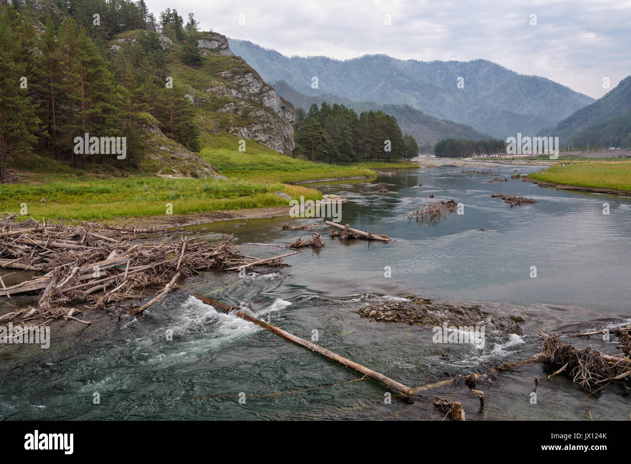 Summer Landscape: Wooden Logs on Mountain River Flowing along Little Canyon Stock Photo