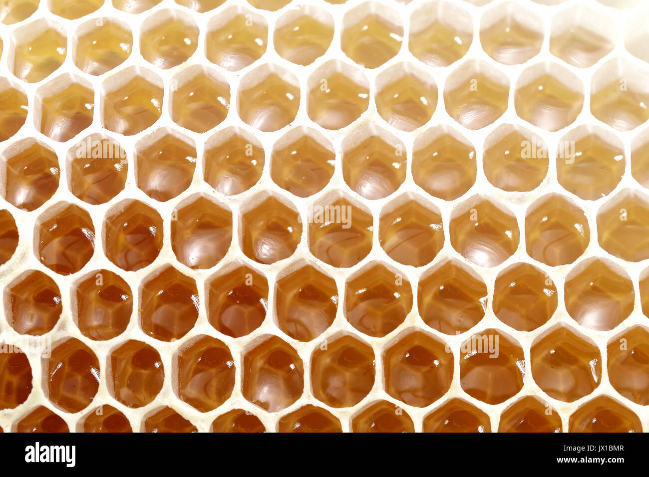 Bee wax hi-res stock photography and images - Alamy