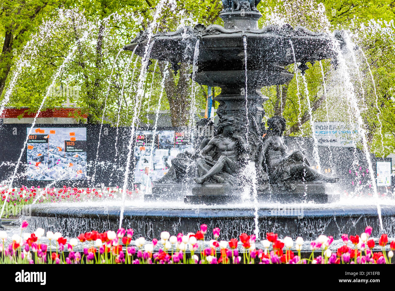 Quebec City, Canada May 30, 2017 Tulip flowers and large fountain in