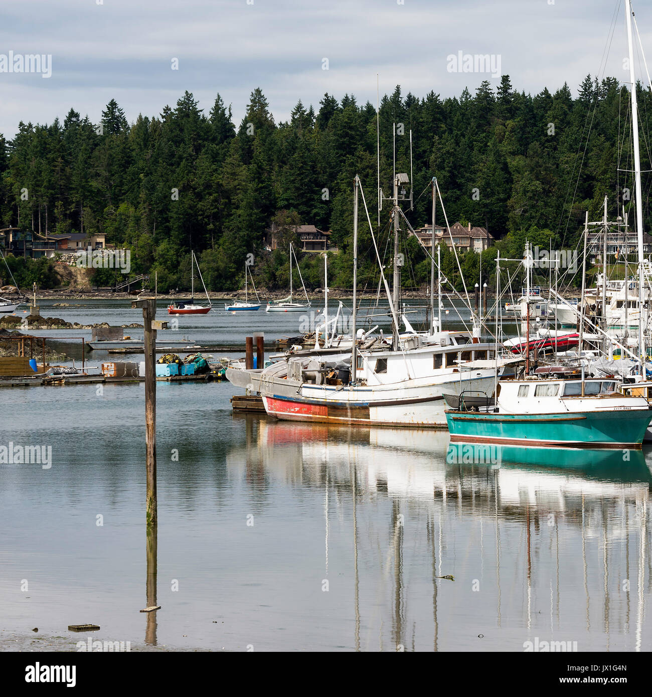 Mirror Like Images of Yachts and Boats Docked in a Marina at Tsehum Harbour near Victoria on Vancouver Island British Columbia Canada Stock Photo